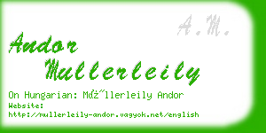 andor mullerleily business card